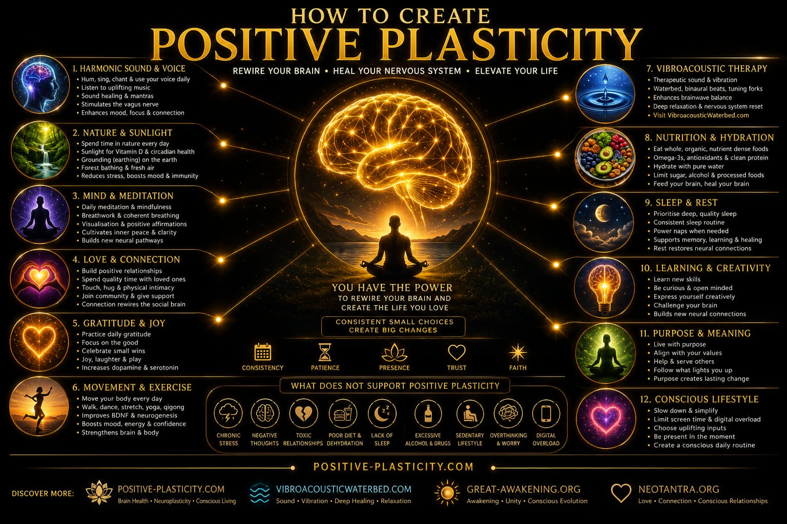 practices — from mindfulness, exercise, gratitude and music to nature and nutrition — that foster positive neuroplasticity.